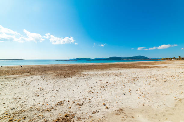 istock White sand in Alghero Lido on a sunny day 1207743080