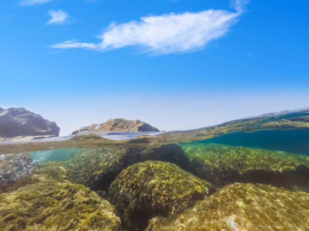 istock Split underwater view of Alghero rocky shore on a clear day 1207743412