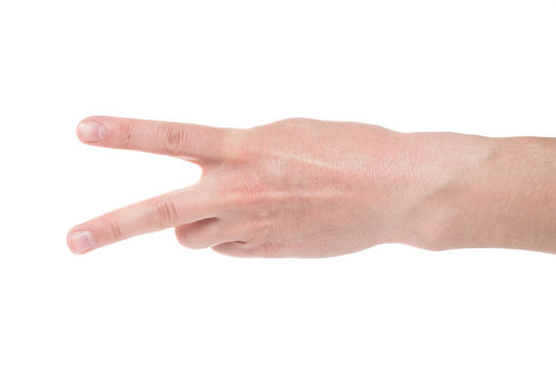 istock Man showing number two on white background, closeup. 1207743623