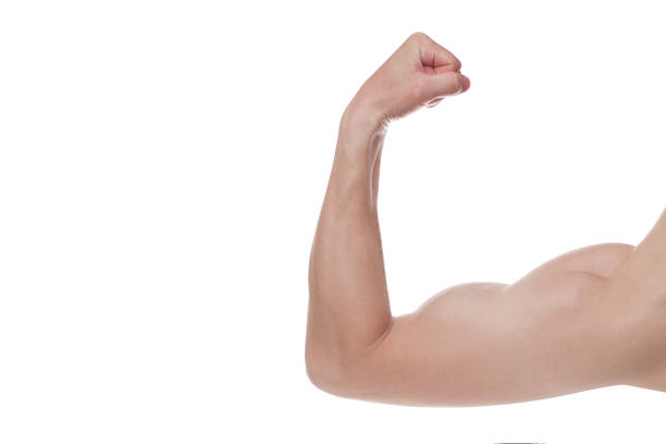 istock Strong Athletic Man Fitness Model, triceps over white background. Copy space 1207743709