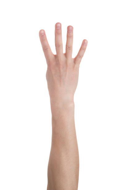 istock Man hand show four fingers on white background 1207744521