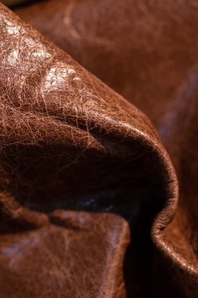istock Luxury leather samples close-up. Can be used as background. 1207748342