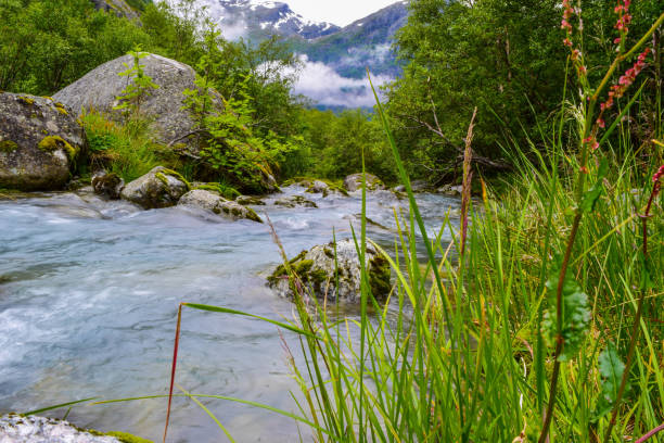 istock River from Briksdalsbreen (Briksdal) glacier. Jostedalsbreen National Park. Norway 1207748419