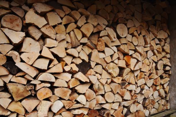 istock Dried Hardwood Logs 1207749602