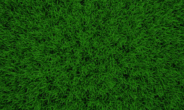 istock Green grass texture background, Green lawn, Backyard for background, Grass texture, Green lawn desktop picture, Park lawn texture. 3D software rendering. 1207750725