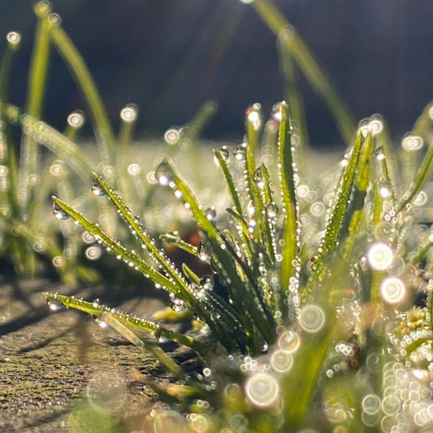 istock Nature the beautiful 4 1207751515