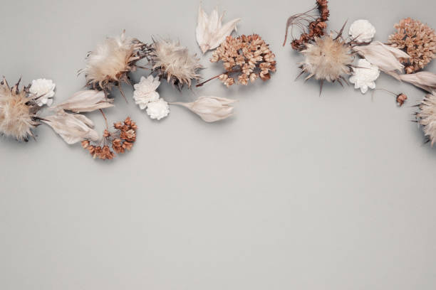 istock Dried flowers and leaves on white background. Flowers composition. Copy space, flat lay , top view 1207751939