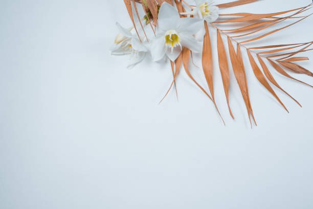 istock Tropical dry leaves with white lilies on white background. Closeup view 1207752067