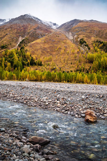 istock Autumn in the Aktru River Valley 1207753494