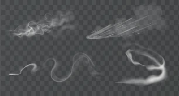 stockillustraties, clipart, cartoons en iconen met vector realistische spat van stofpoeder, zand en rook onder de wielen. grunge textuur van stoffige sleep van bandmotie die op transparante achtergrond wordt geïsoleerd. stoomwolken, rookwolk, mist, mist, damp. - roken