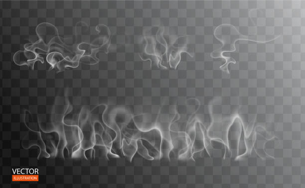 ilustrações, clipart, desenhos animados e ícones de conjunto de fumaça em comida, grelha, chá e café. ondas de fumaça de cigarro branco. vapor quente sobre a xícara para fundo escuro e transparente. vapor mágico, névoa, nuvem, gás, ilustração vetorial de neblina. fragrância nebulosa - smoke condensation fumes isolated