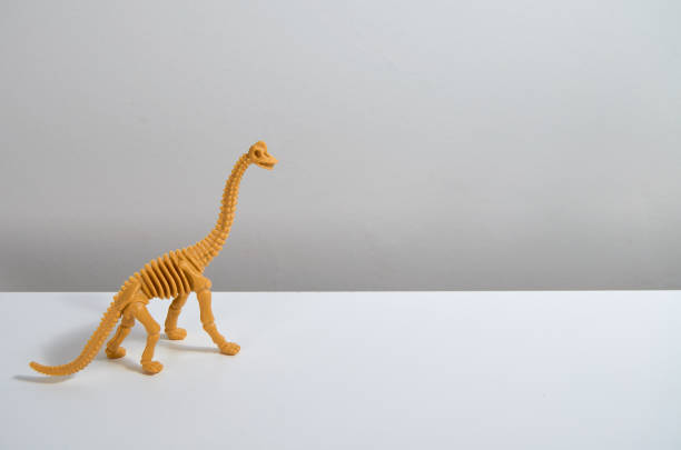 istock Dino toy on white background. 1207761743