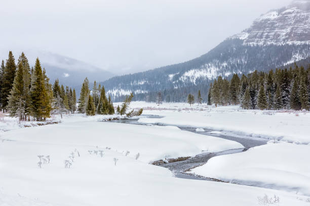 istock River Running Through a Mountain Valley in Winter 1207761941