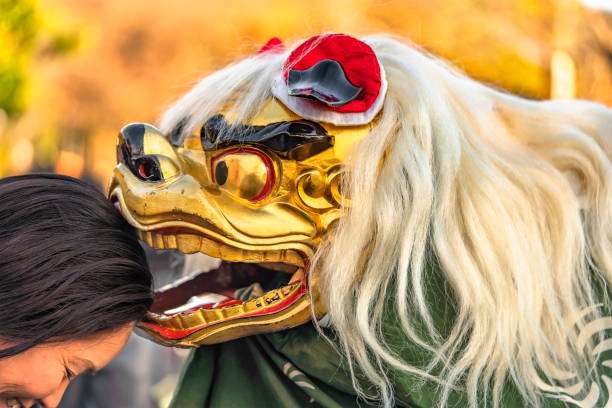 Performance of a Japanese lion dancer biting the head of worshipers ueno, japan - january 02 2020: Performance of a Japanese dancer biting the head of worshipers who wears a lion costume composed of a wooden head, a hairy mane, kemanmon or makigemon pattern textile body with eyes gilded in gold and teeth plated with gold as well as to the ears that moved. shinobazu pond stock pictures, royalty-free photos & images