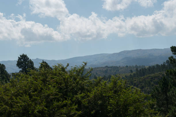istock Cordoba landscape 1207766673