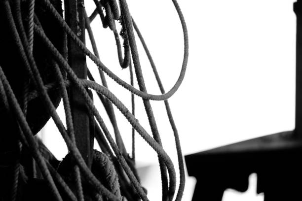 istock Western rope in black and white 1207768527