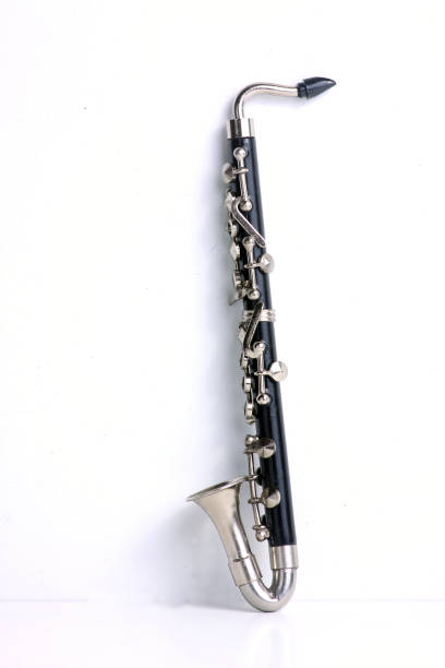 Lay flat trumpet valves, tubing and valve oil cleaners