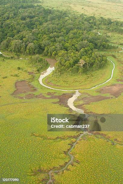 Masai Mara Wetlands Stock Photo - Download Image Now - Aerial View, Africa, Color Image