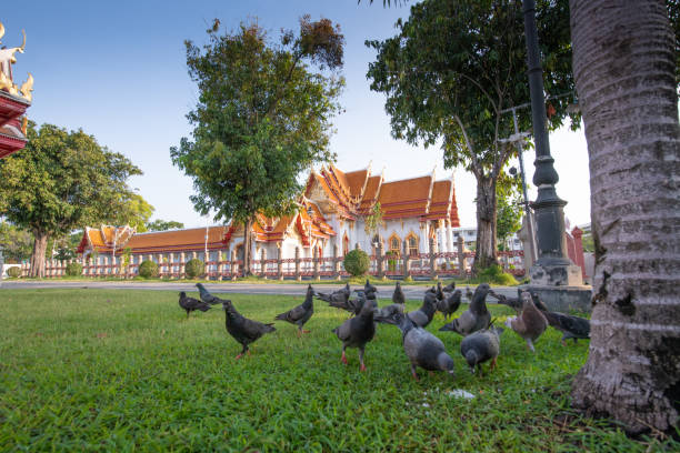 The Marble Temple in Bankgok Thailand. Locally known as Wat Benchamabophit the most famaus tourist place in bangkok