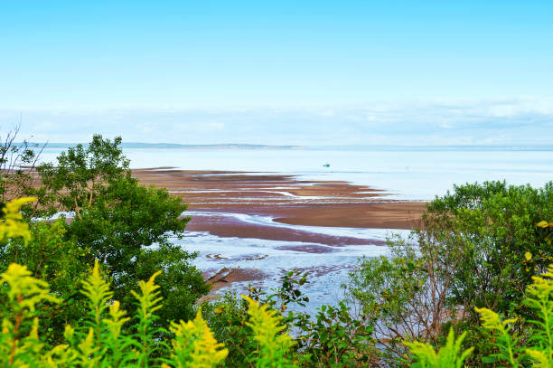 베이 오브 펀디, 뉴브런즈윅, 캐나다 - nova scotia bay of fundy bay horizon over water 뉴스 사진 이미지