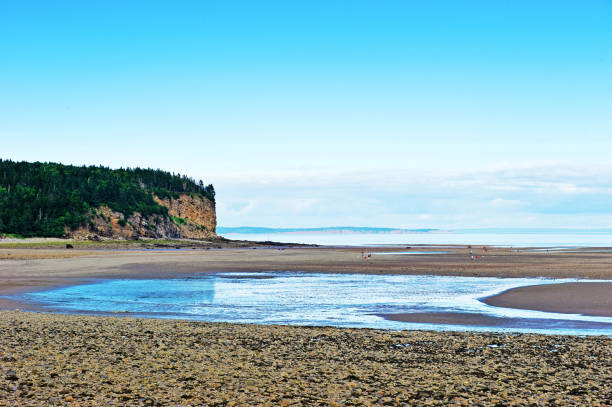 Bay between New Brunswick and Nova Scotia, known for its very high tides.Some incidental people walking on the beach at low tide.