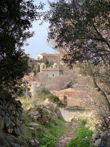 istock Corsican maquis path 1207777228