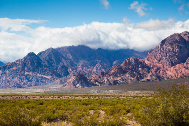 istock Andes  near NR 7 road 1207777526