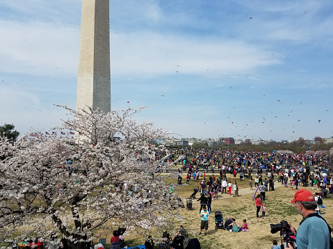 Washington, DC - March 30, 2019: A large crowd of adults and children fly kites at the Kite Festival on the National Mall, next to the Washington Monument during the Cherry Blossom Festival.