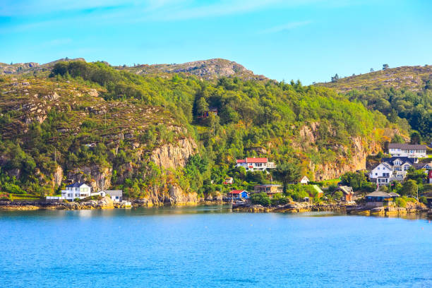 istock Norway mountains and fjord landscape 1207783900