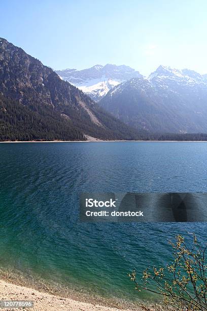 Plansee Stockfoto und mehr Bilder von Alpen - Alpen, Bundesland Tirol, Farbbild