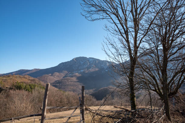 산촌의 풍경 - eastern europe mountain range mountain village 뉴스 사진 이미지