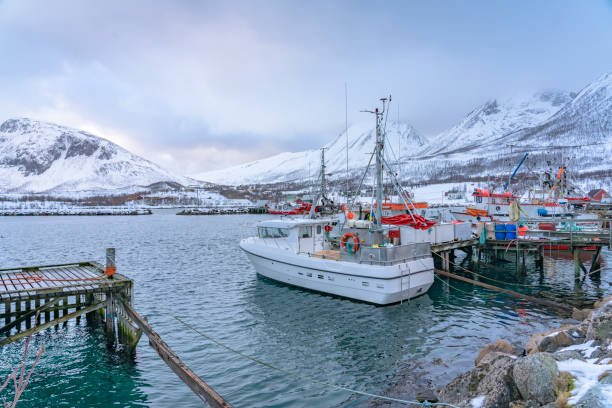 istock fishing harbor in Northern Norway in winter 1207802970