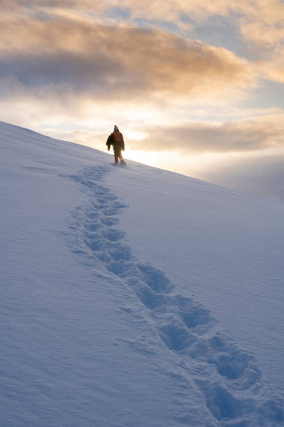 istock snowshoeing in northern Norway 1207803829