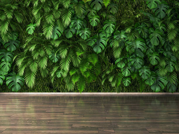 planta pared y suelo de parquet - lifestyles indoors nature business fotografías e imágenes de stock