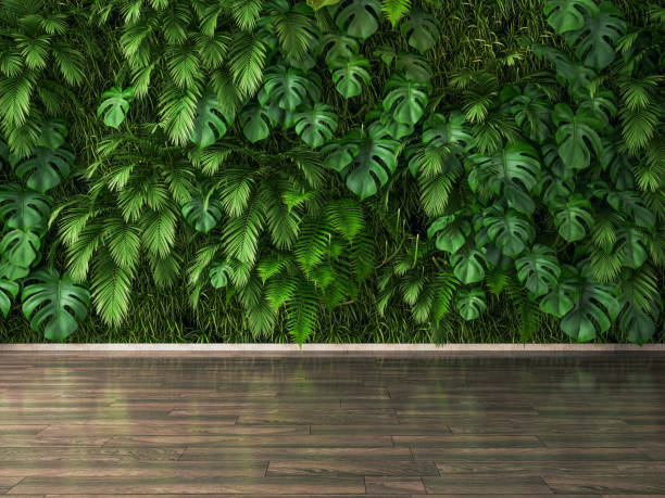 Plants Wall And Parquet Floor Plants Wall And Parquet Floor green building photos stock pictures, royalty-free photos & images