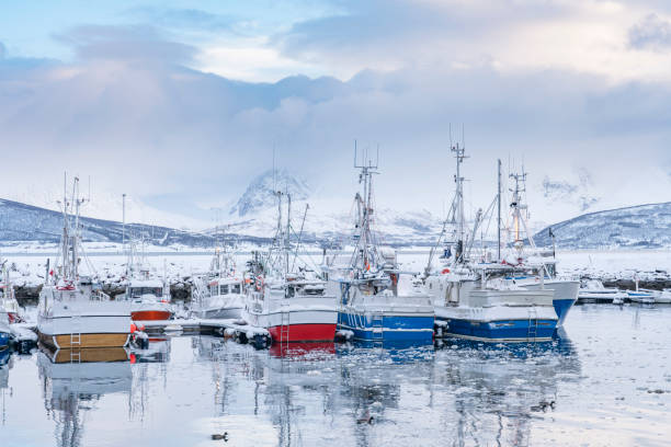 istock fishing harbor in Northern Norway in winter 1207806265
