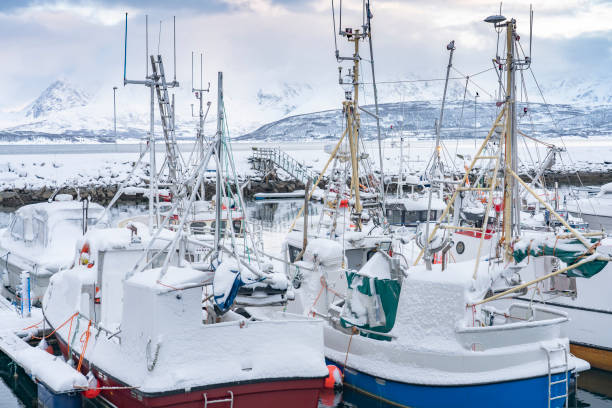 istock fishing harbor in Northern Norway in winter 1207809297