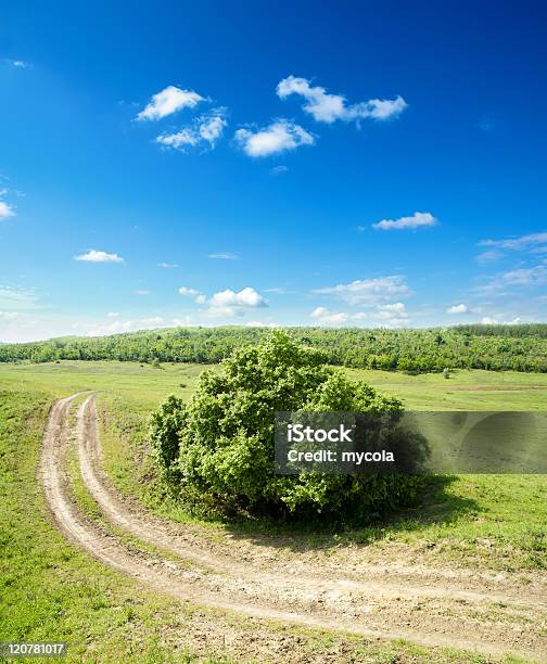 Estrada Rural - Fotografias de stock e mais imagens de Ao Ar Livre - Ao Ar Livre, Azul, Branco