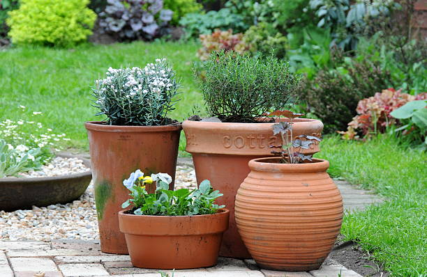 istock pots in the garden 120781040
