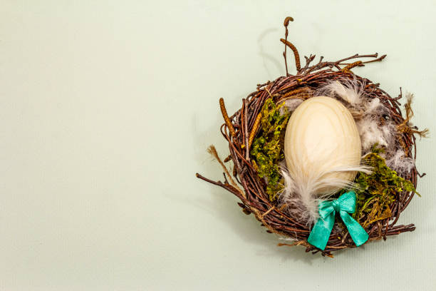 istock Easter bird nest. Zero waste, DIY concept. Wooden egg, feathers, moss 1207812482