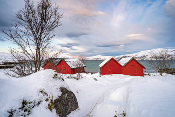 istock icy winterlandscape in northern Norway 1207815734