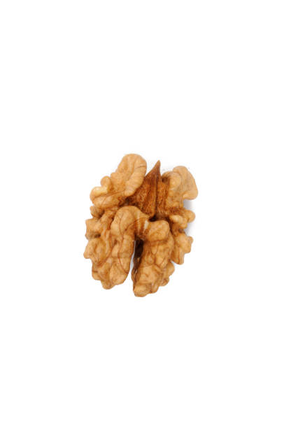 istock The core of a walnut on a white background. View from above. 1207818687