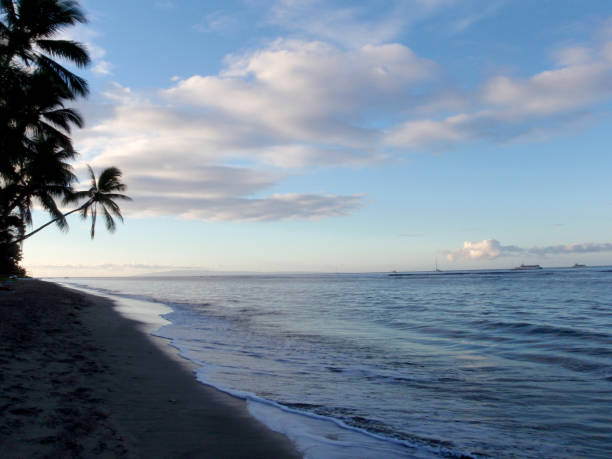 istock Coconut trees hang over Lahaina Beach at Dusk 1207819045