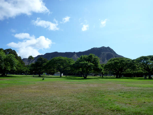 istock Kapiolani Park at during day with Diamond Head and clouds 1207819051