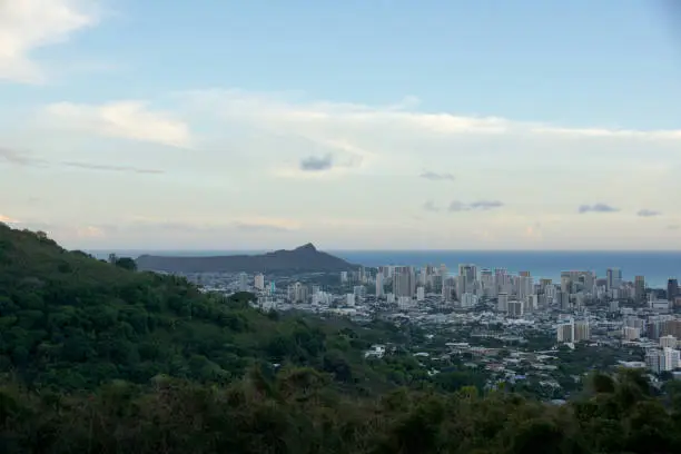 Mountain view of The city of Honolulu from Diamond head to Manoa with Kaimuki, Kahala, and oceanscape visible on Oahu on a nice day at dusk viewed from high in the mountains with tall trees in the foreground.