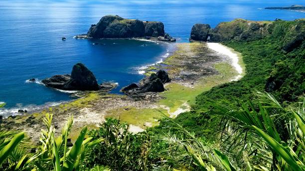 pekingese dog and sleeping beauty rock, green island, taiwan - sleeping beauty turquoise imagens e fotografias de stock