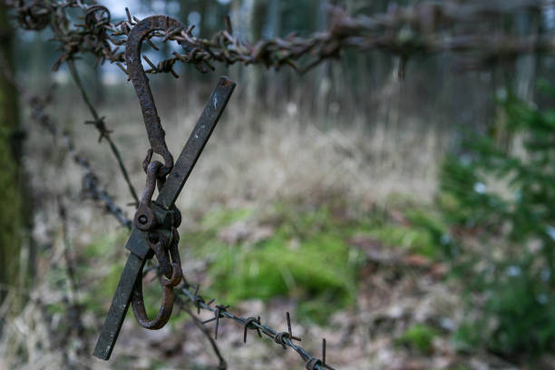 istock A rusty old hook hanged on an old rusty barbed wire fence in a forest 1207825691