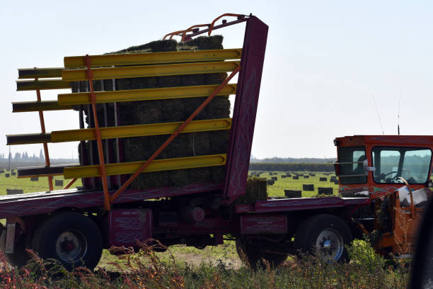 istock Side view of a collection vehicle for hay 1207829426