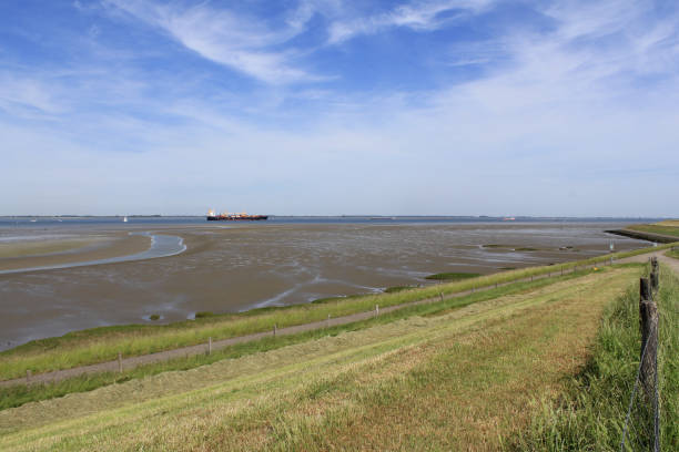 istock a large mudflat along the westerschelde sea and a blue sky 1207830234