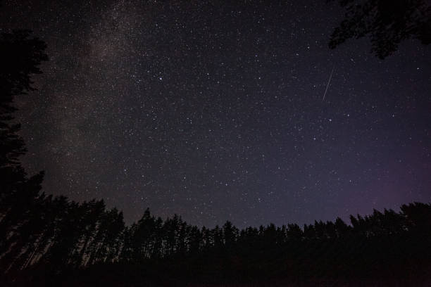 istock one million stars at night. long exposure. Meteor shower. Milky way 1207831271